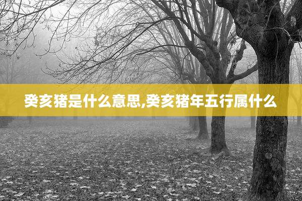 癸亥猪是什么意思,癸亥猪年五行属什么