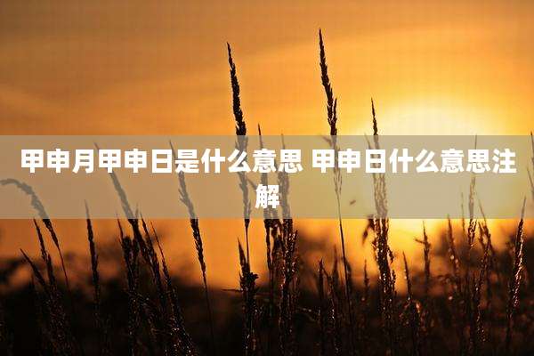 甲申月甲申日是什么意思 甲申日什么意思注解