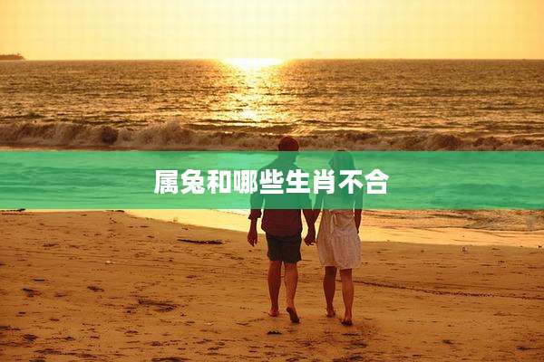 属兔和哪些生肖不合