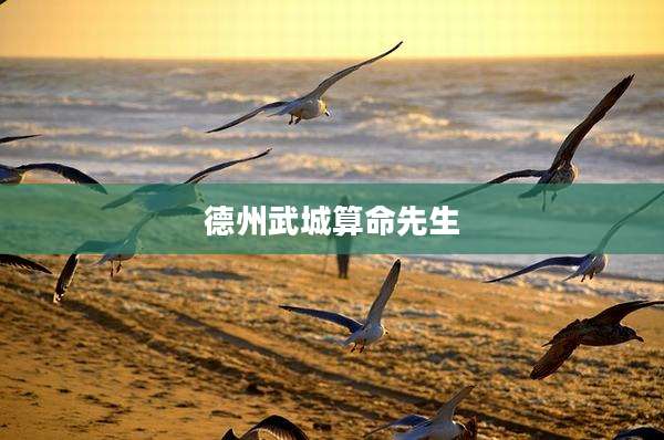 德州武城算命先生
