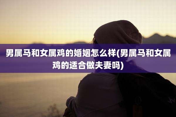 男属马和女属鸡的婚姻怎么样(男属马和女属鸡的适合做夫妻吗)