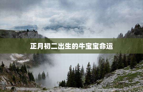 正月初二出生的牛宝宝命运