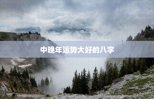 中晚年运势大好的八字