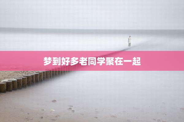 梦到好多老同学聚在一起