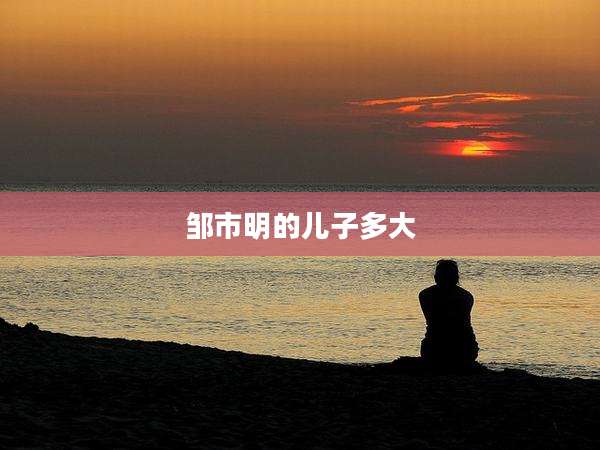 邹市明的儿子多大