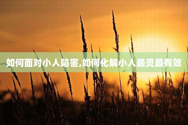 如何面对小人陷害,如何化解小人最灵最有效