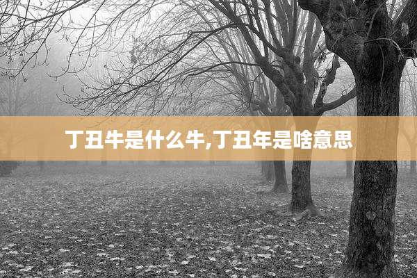 丁丑牛是什么牛,丁丑年是啥意思