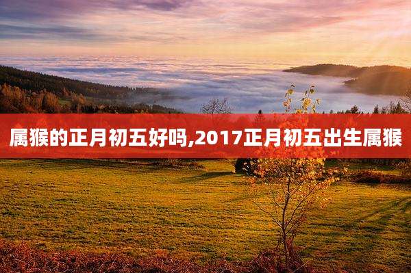 属猴的正月初五好吗,2017正月初五出生属猴