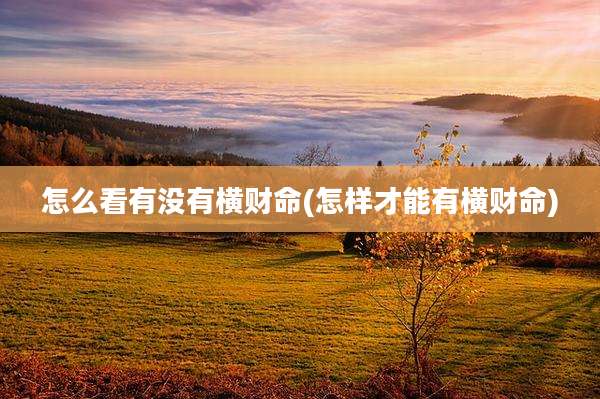 怎么看有没有横财命(怎样才能有横财命)