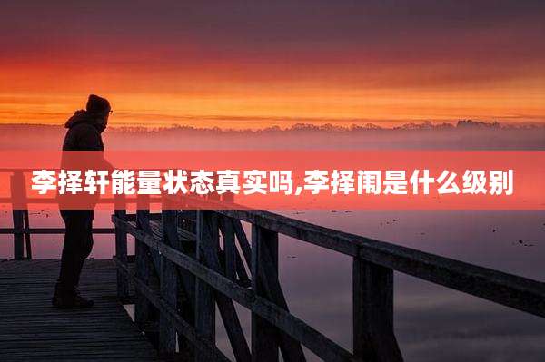 李择轩能量状态真实吗,李择闱是什么级别