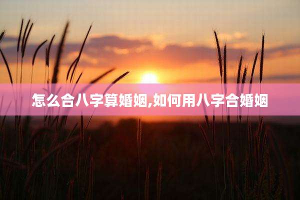 怎么合八字算婚姻,如何用八字合婚姻