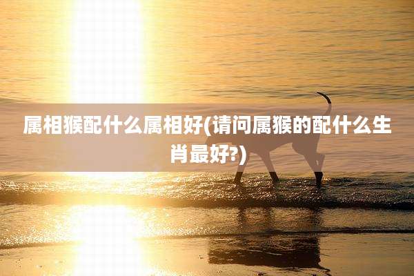 属相猴配什么属相好(请问属猴的配什么生肖最好?)