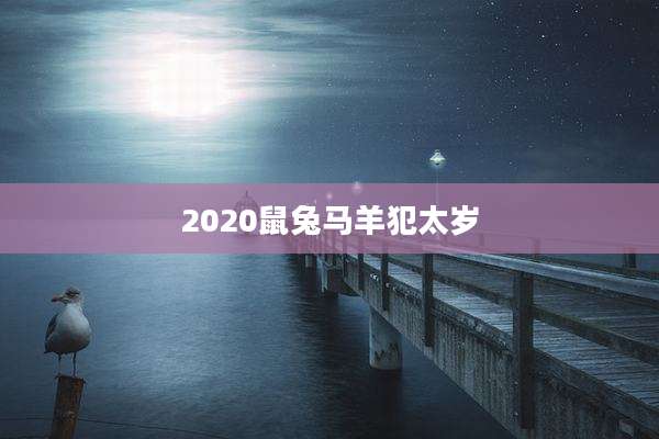 2020鼠兔马羊犯太岁