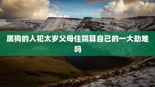 属狗的人犯太岁父母住院算自己的一大劫难吗