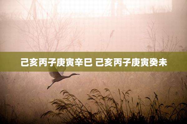 己亥丙子庚寅辛巳 己亥丙子庚寅癸未