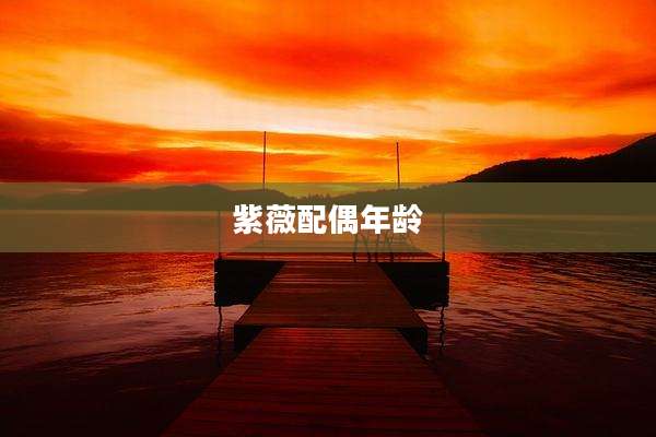 紫薇配偶年龄