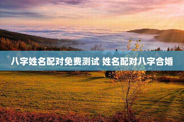 八字姓名配对免费测试 姓名配对八字合婚