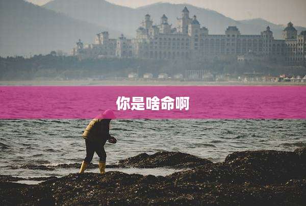 你是啥命啊