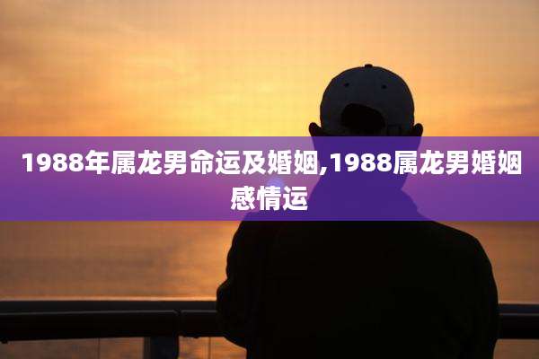 1988年属龙男命运及婚姻,1988属龙男婚姻感情运