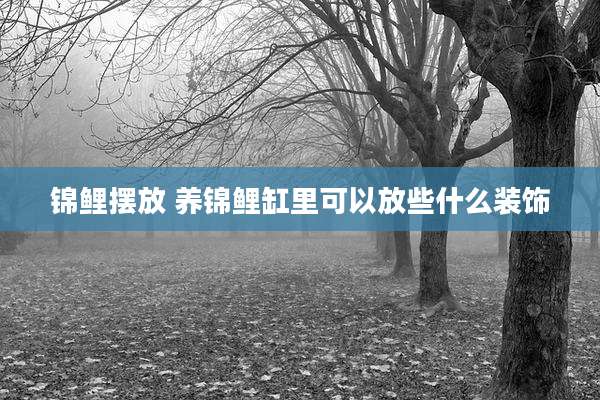 锦鲤摆放 养锦鲤缸里可以放些什么装饰