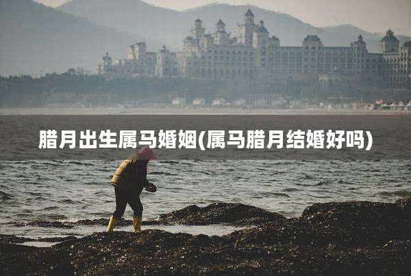 腊月出生属马婚姻(属马腊月结婚好吗)