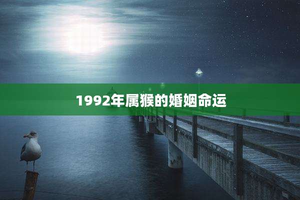 1992年属猴的婚姻命运