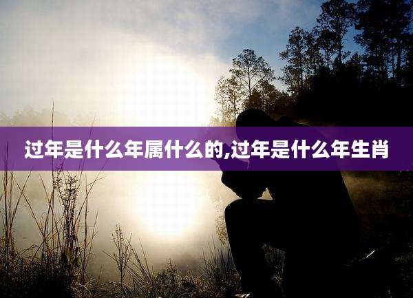 过年是什么年属什么的,过年是什么年生肖