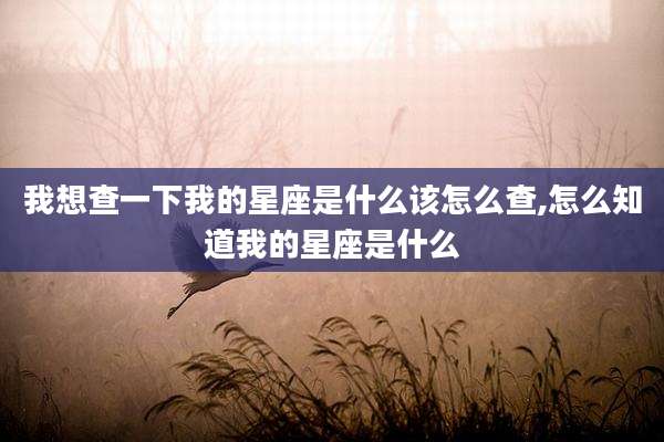 我想查一下我的星座是什么该怎么查,怎么知道我的星座是什么