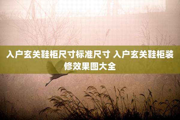 入户玄关鞋柜尺寸标准尺寸 入户玄关鞋柜装修效果图大全
