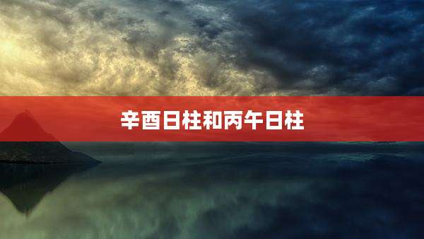 辛酉日柱和丙午日柱