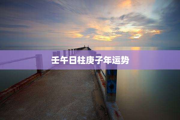 壬午日柱庚子年运势