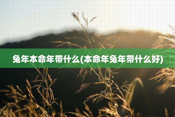 兔年本命年带什么(本命年兔年带什么好)