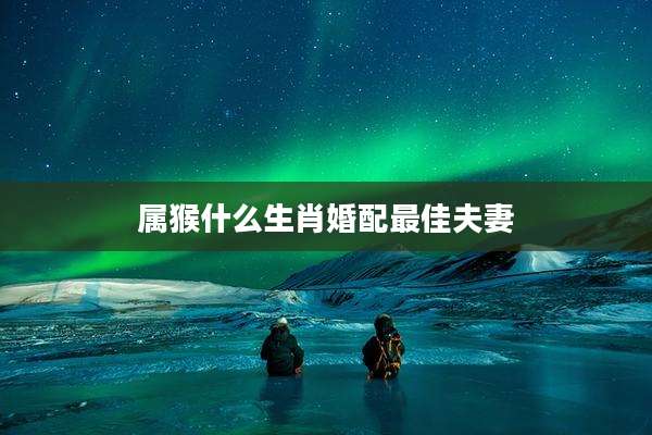 属猴什么生肖婚配最佳夫妻