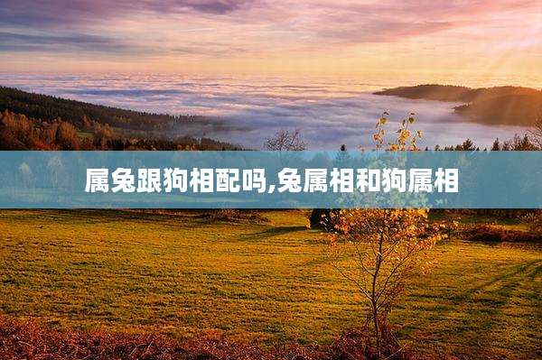 属兔跟狗相配吗,兔属相和狗属相