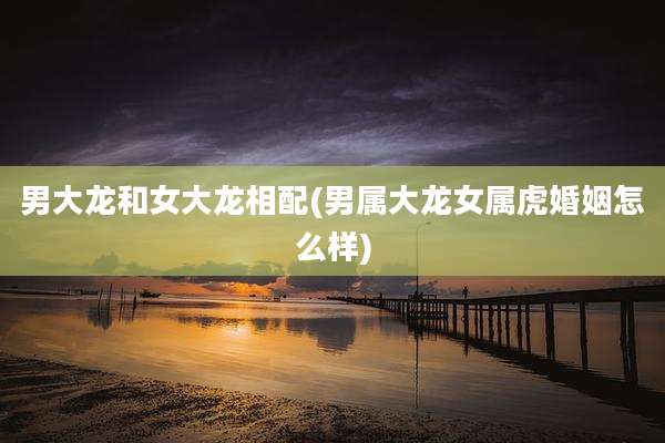 男大龙和女大龙相配(男属大龙女属虎婚姻怎么样)