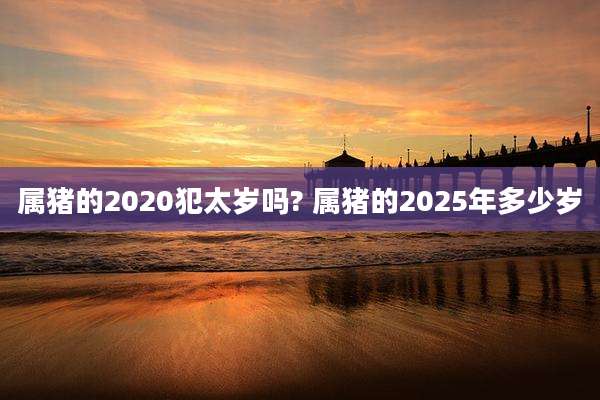 属猪的2020犯太岁吗? 属猪的2025年多少岁