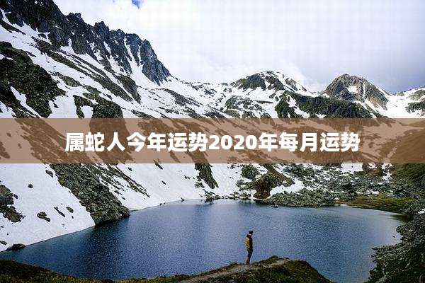 属蛇人今年运势2020年每月运势