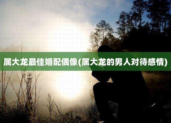 属大龙最佳婚配偶像(属大龙的男人对待感情)