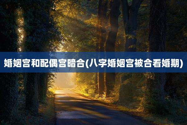 婚姻宫和配偶宫暗合(八字婚姻宫被合看婚期)