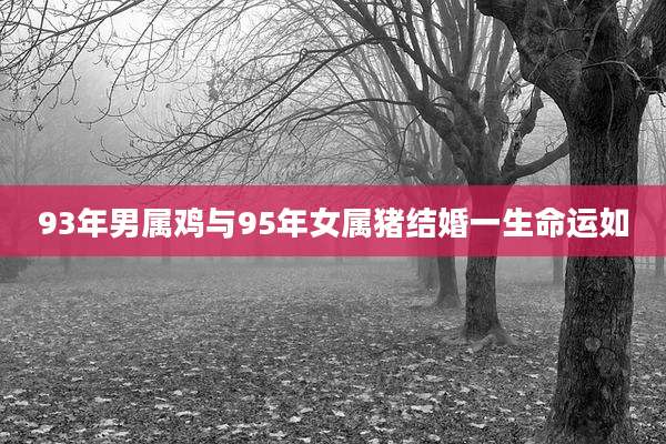 93年男属鸡与95年女属猪结婚一生命运如