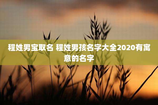 程姓男宝取名 程姓男孩名字大全2020有寓意的名字