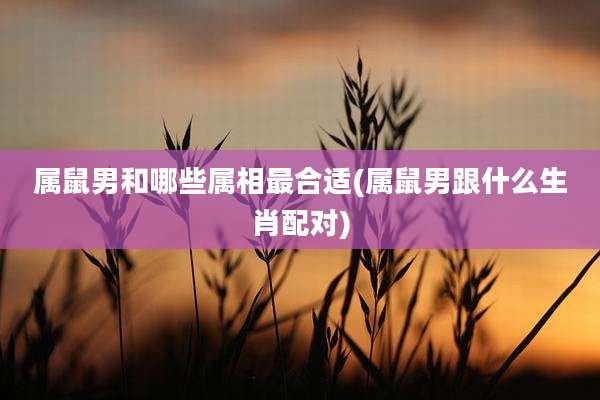 属鼠男和哪些属相最合适(属鼠男跟什么生肖配对)