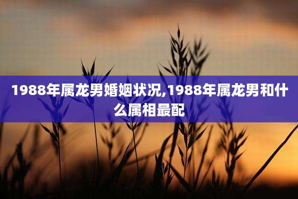 1988年属龙男婚姻状况,1988年属龙男和什么属相最配