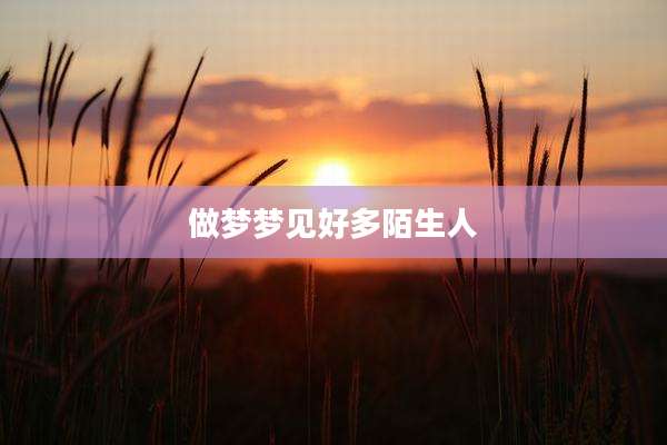 做梦梦见好多陌生人