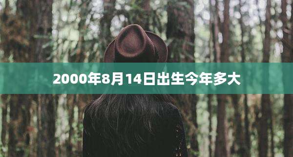 2000年8月14日出生今年多大