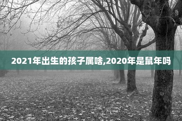 2021年出生的孩子属啥,2020年是鼠年吗