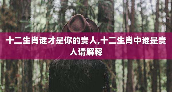 十二生肖谁才是你的贵人,十二生肖中谁是贵人请解释