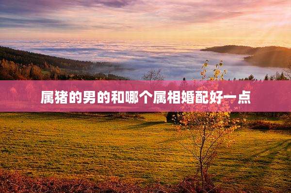 属猪的男的和哪个属相婚配好一点