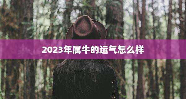 2023年属牛的运气怎么样