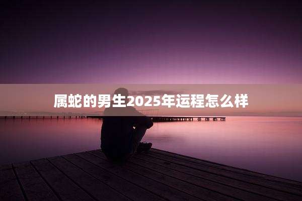 属蛇的男生2025年运程怎么样